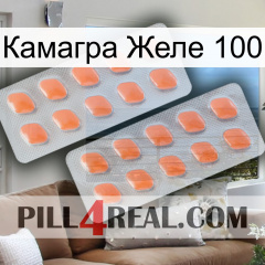 Камагра Желе 100 27